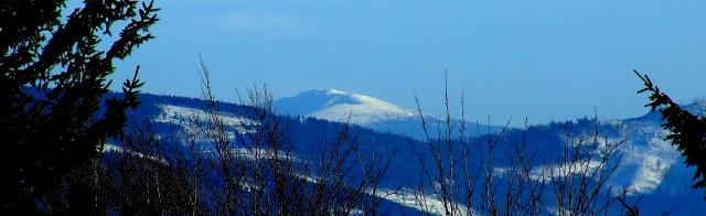 babia