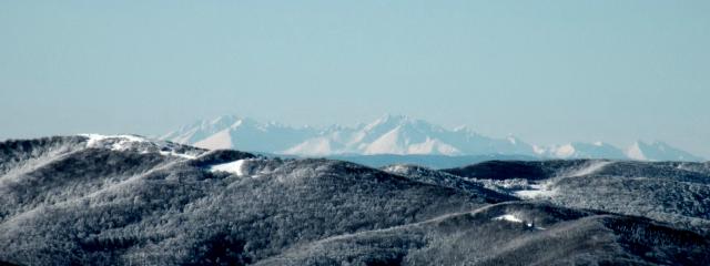 dscn1138_tone