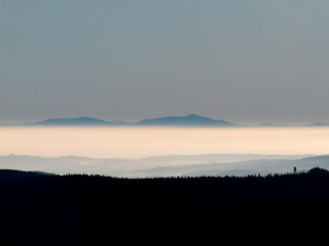 lysa1-11012009_600