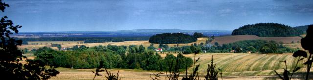 sw-anna-z-tylnej-kopy