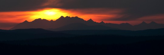 DSC_0253_crop