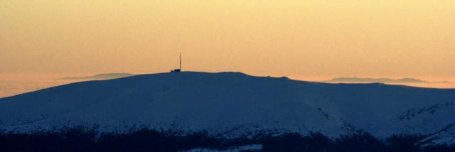 dsc00080_crop_600