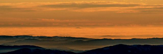 dsc00082_sh_crop_600