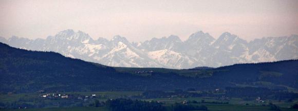 widoma1_crop_600