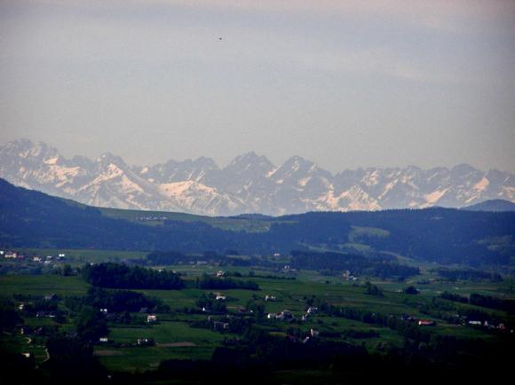 widoma_600
