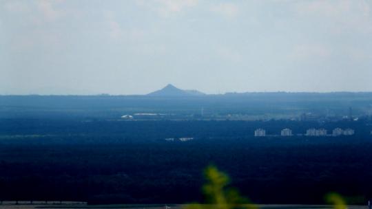 szarlota_600