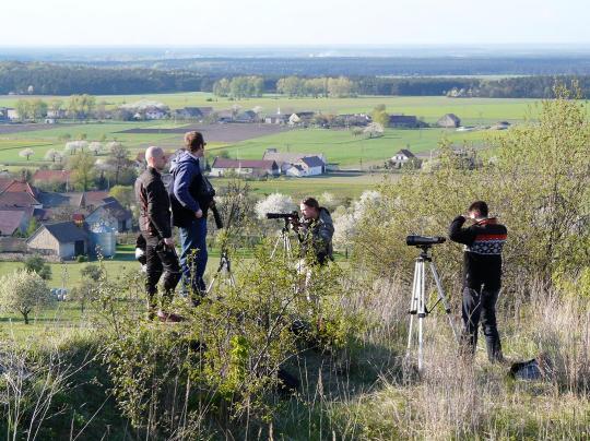 przewodnik
