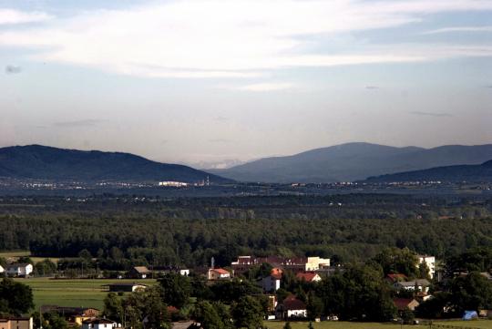 dsc_0135_suszec_600