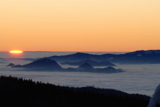 dsc_8468_600