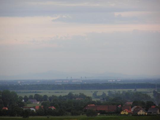 snieznik-spod-trzebnicy