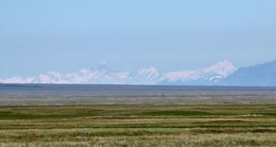 Tandykul