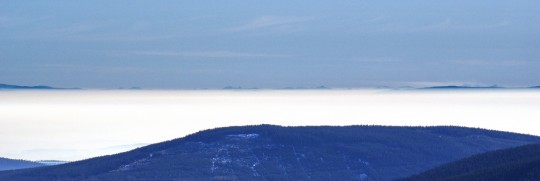 DSC00520_crop_zoom