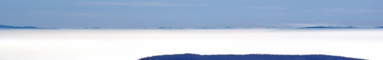 DSC00520_crop_zoom_max