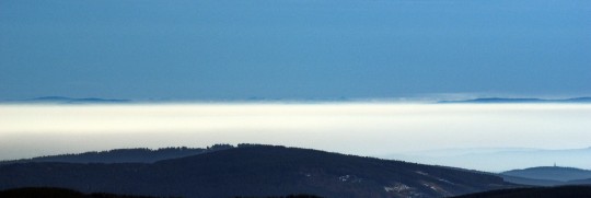 DSC00530_crop_zoom