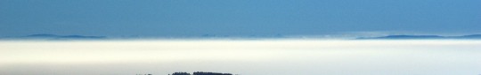 DSC00530_crop_zoom_max
