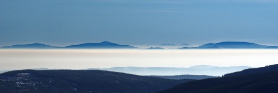 DSC00531_crop_zoom