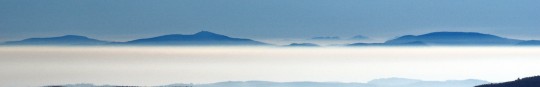DSC00531_crop_zoom_max