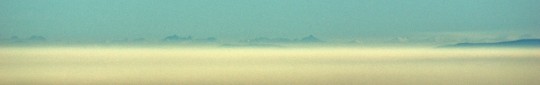 DSC00536_crop_zoom_max