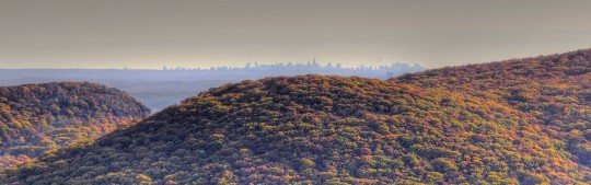 skyline_zoom