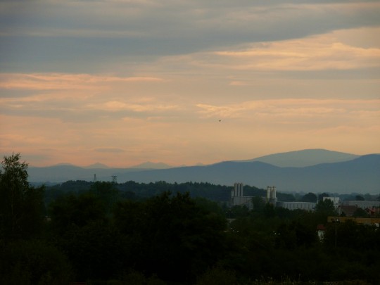P1010817