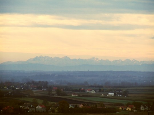 DSCF5996