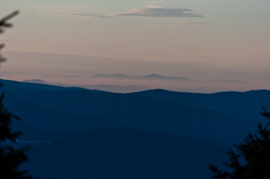 _DSC5119