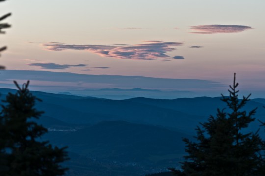 _DSC5299