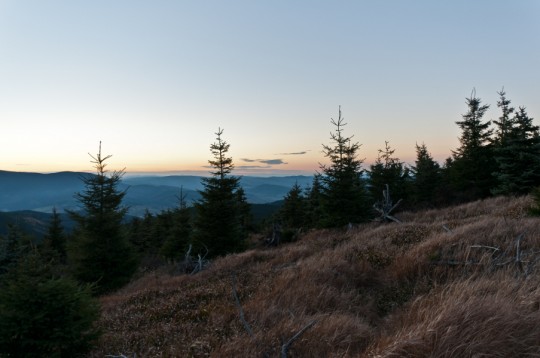 _DSC5386