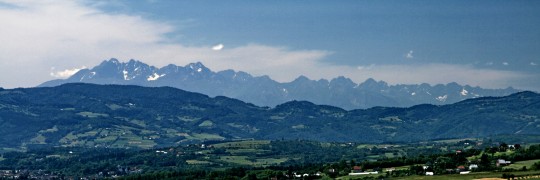 IMG_2616_zoom_600