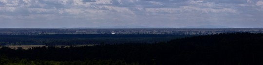 IMG_5391zoom