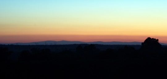 _DSC5044