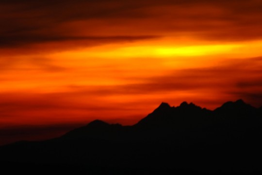 DSCF3121