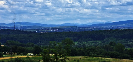 warzyce-bieszczady