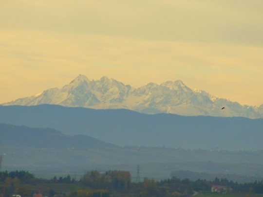 DSCF9343
