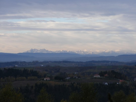 DSCF9347