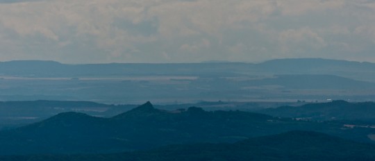 DSC_2771_crop