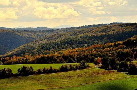 DSC_0120