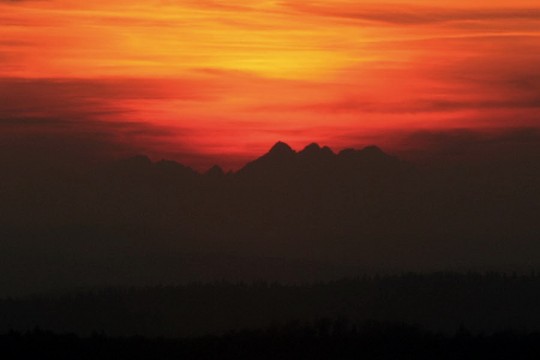 tatry_ze_wzg_kamionka_crop_600