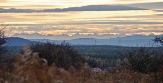 DSC_0640
