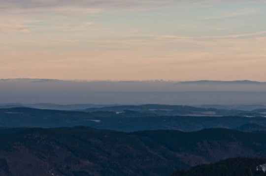 DSC_1596-2