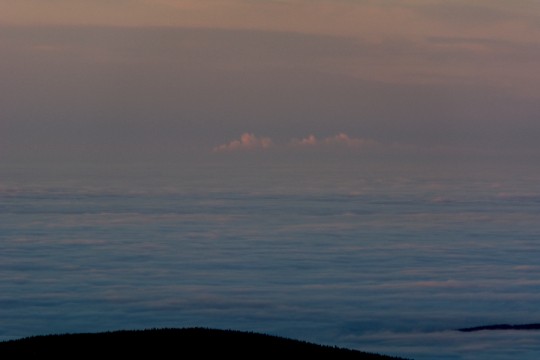 DSC_0514