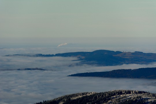 DSC_0665