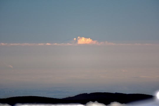 DSC_0683