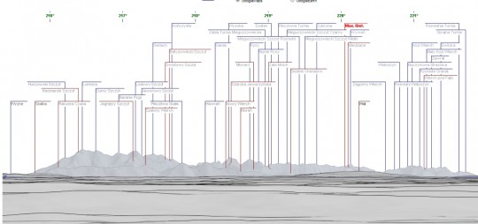 symulacja