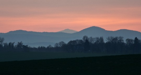 DSC_0830