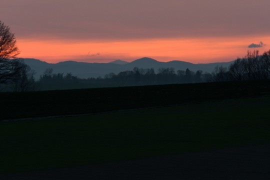 DSC_0866